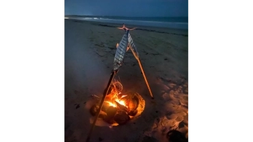 Experi&ecirc;ncia Fish Party - Moitas 